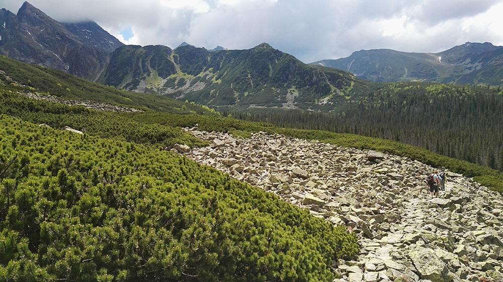 Tatrzańskie doliny. Szlak z Doliny Pańszczyca do Murowańca