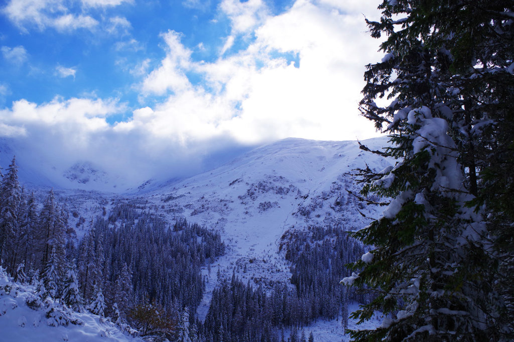 Zejście z Trzydniowiańskiego Wierchu przez Dolinę Jarząbczą
