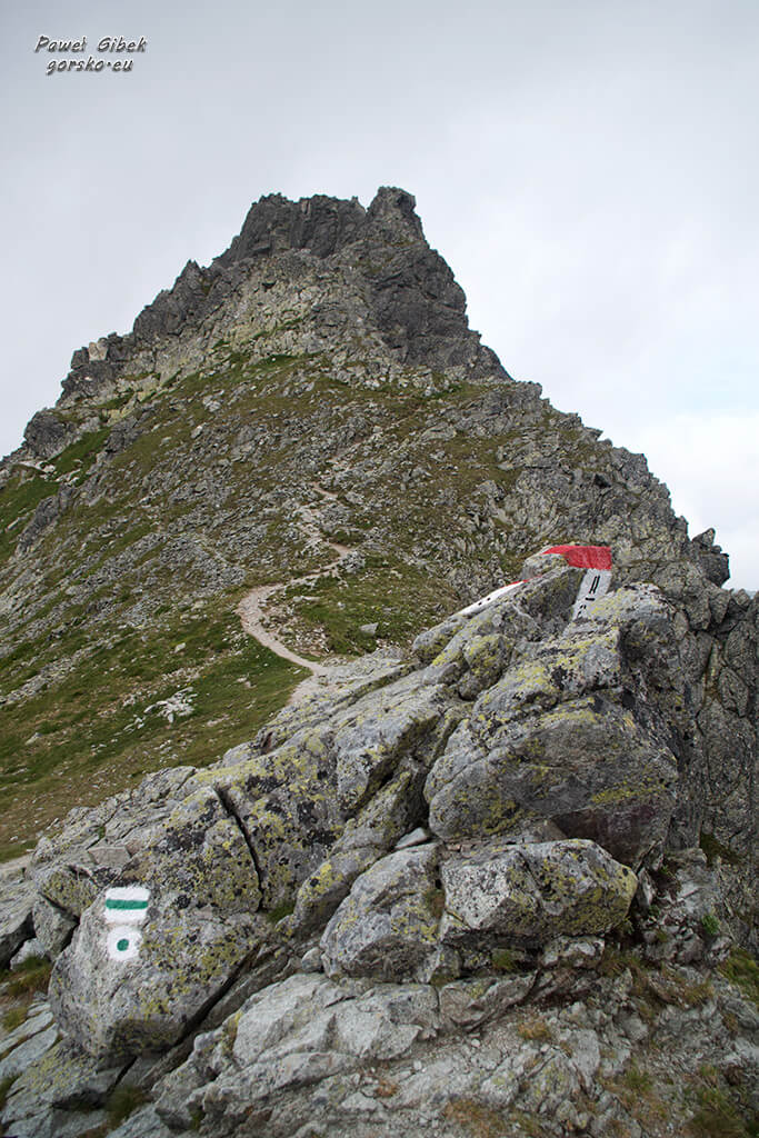 Szlak na Przełęcz pod Chłopkiem. Koniec szlaku oznaczony jest zielonym kołem. W tle Mięguszowiecki Szczyt Pośredni