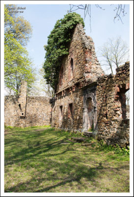 Ruiny-Zamku-Stary-Książ-2