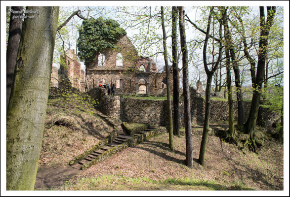 Ruiny-Zamku-Stary-Książ-6