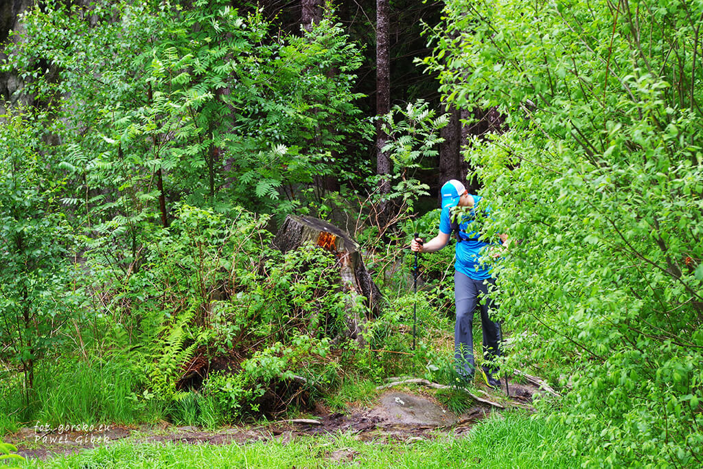 Speed-hiking-w-Górach-Stołowych