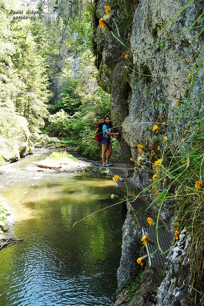 Przełom-Hornadu-w-Słowackim-Raju-stupaczki-4
