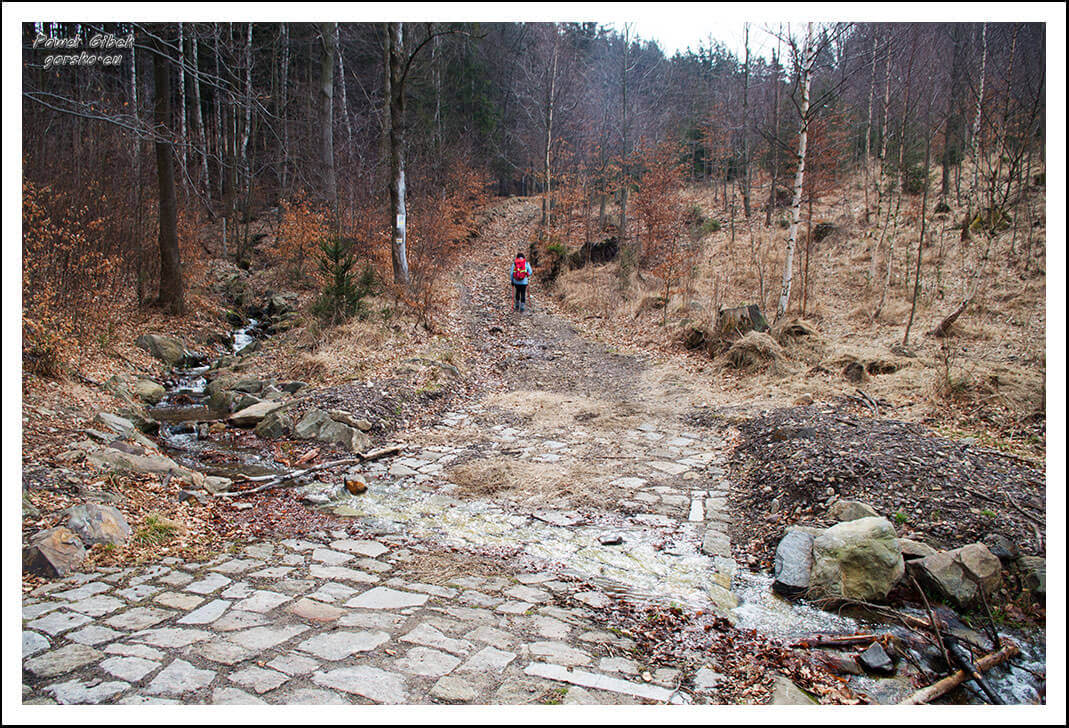 Szlak-z-Walimia-na-Wielką-Sowę