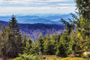 Rysianka-szlak-z-Romanki-widok-na-Tatry