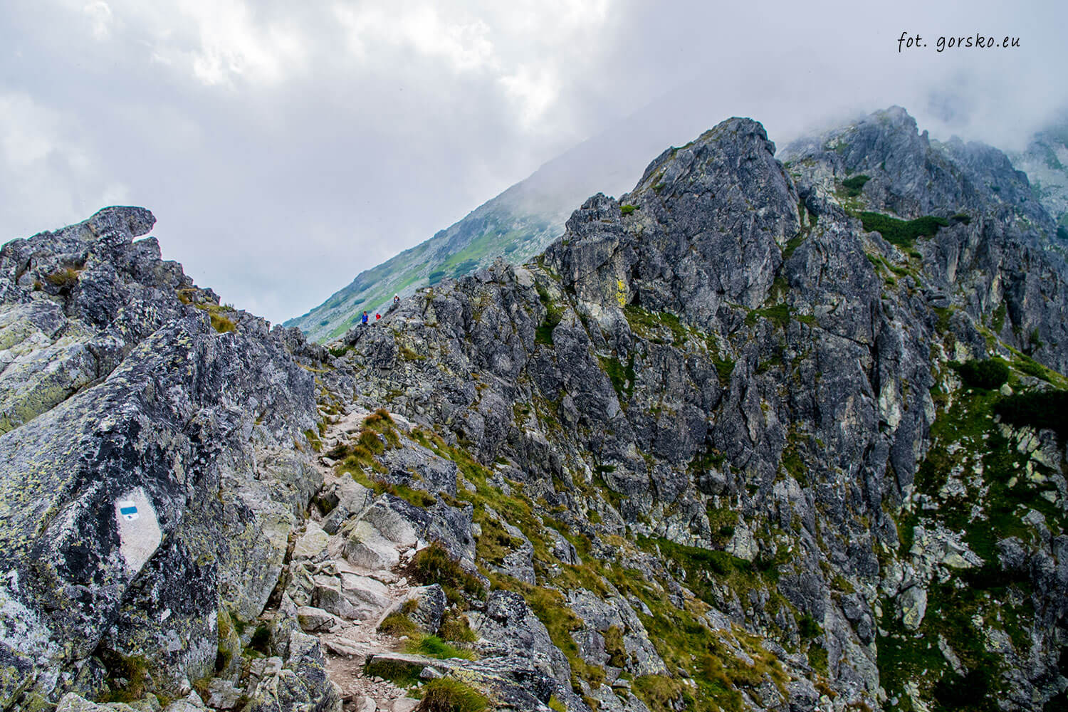 Sławkowski-Szczyt-szlak-Królewski-Nos