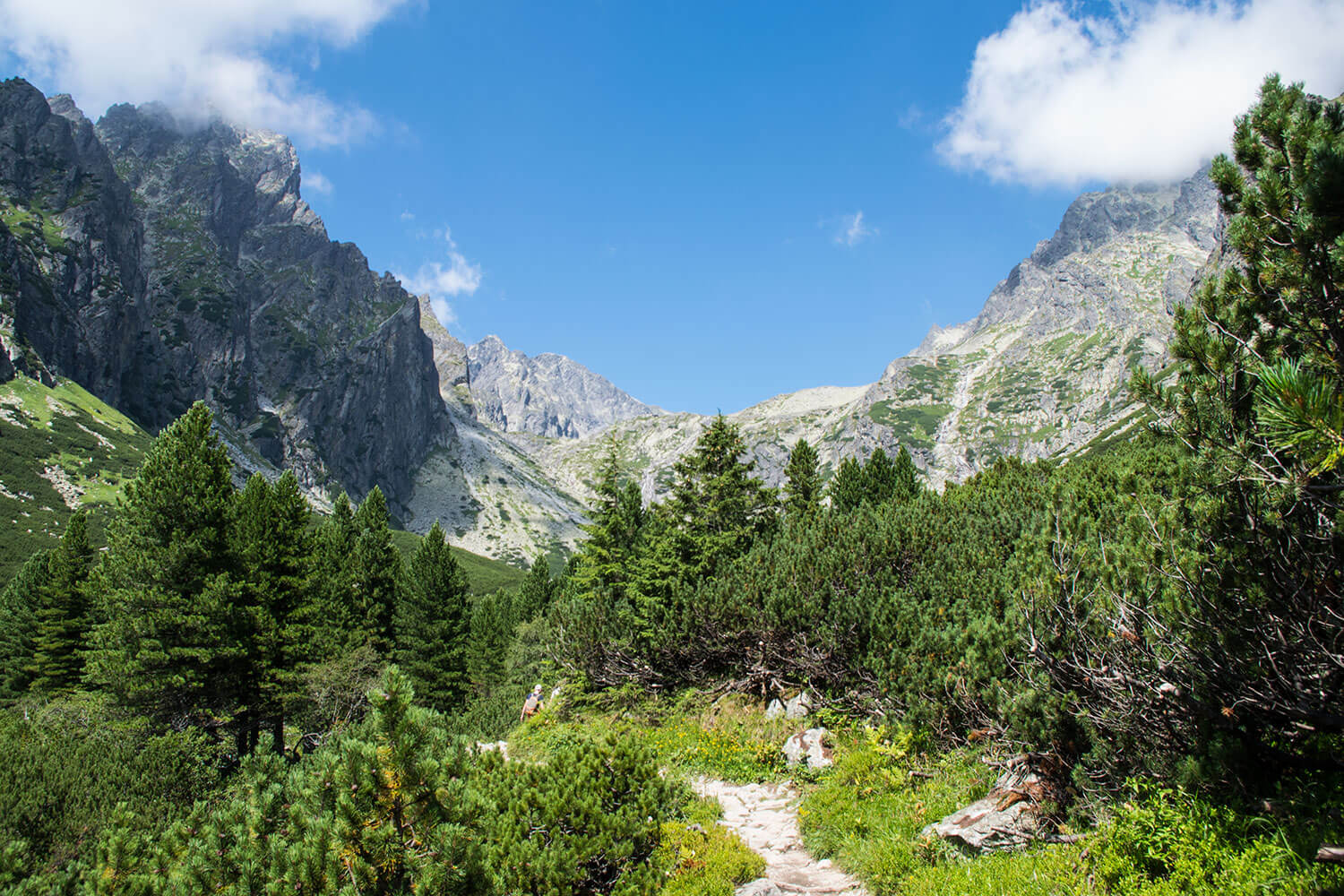 Czerwona Ławka Tatry Dolina Małej Zimnej Wody