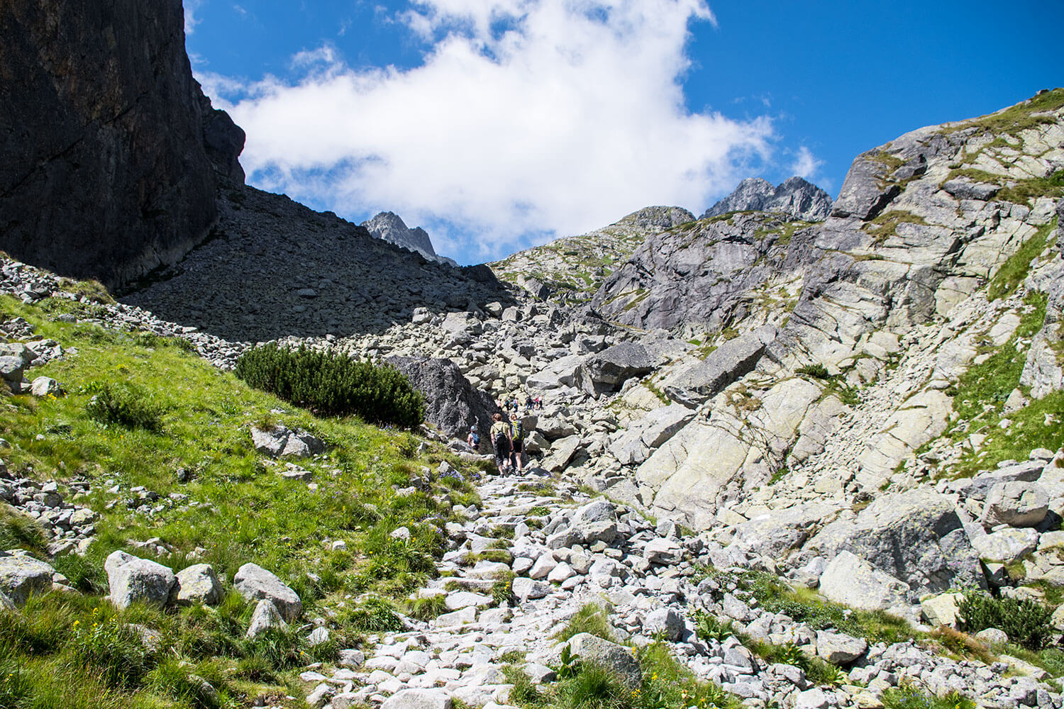 Czerwona Ławka szlak do Chaty Tery’ego