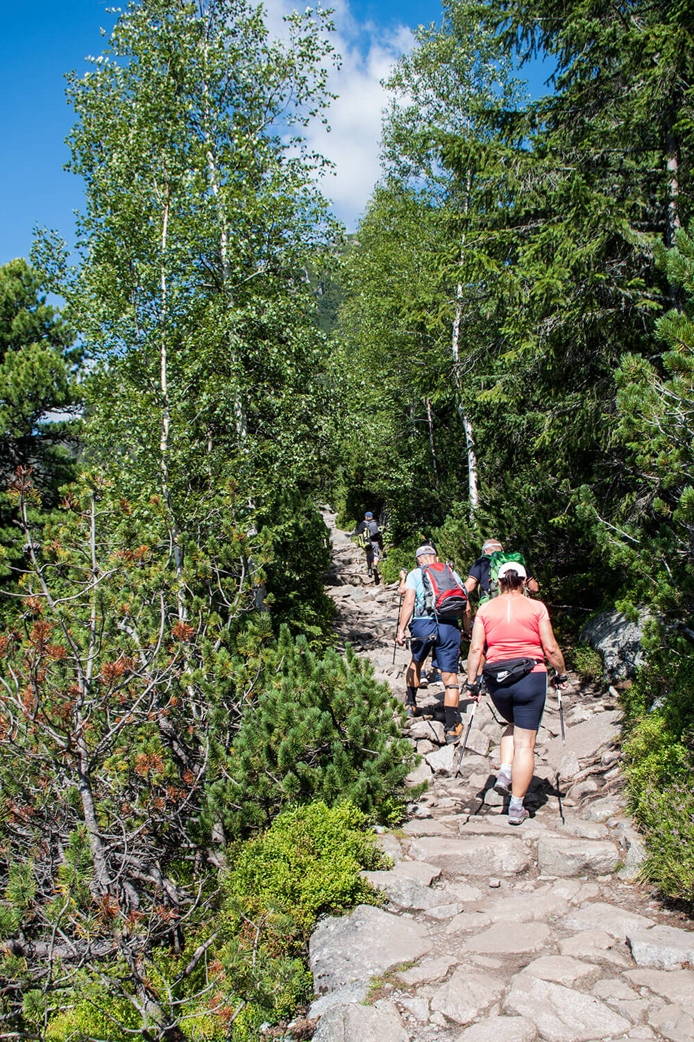 Czerwona Ławka szlak do Chaty Zamkowskiego