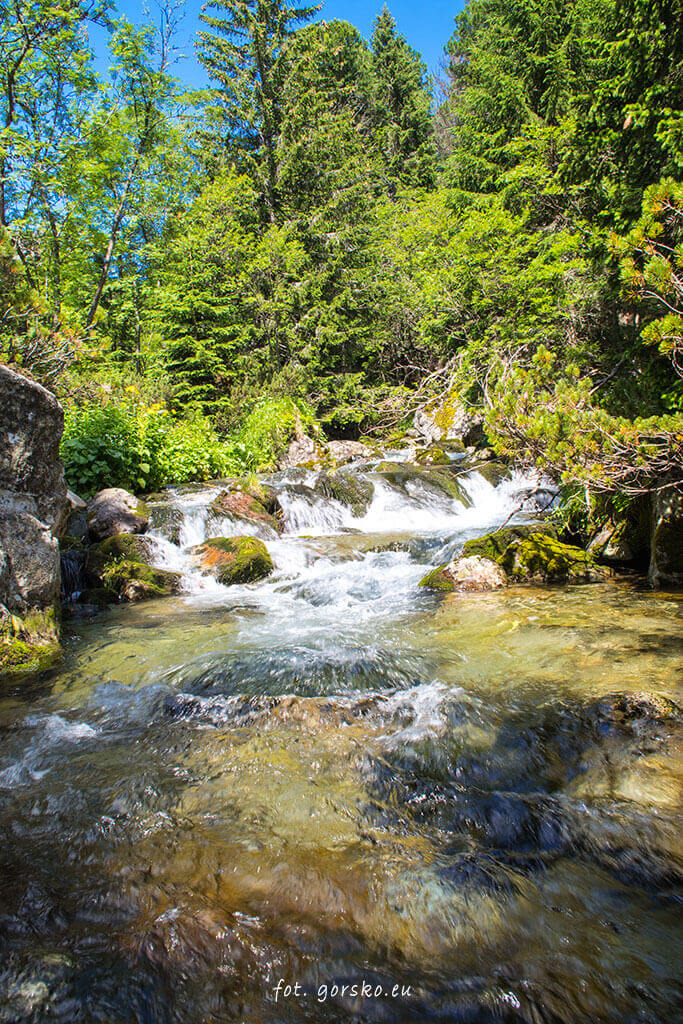 Potok-Biała-Woda-Kieżmarska