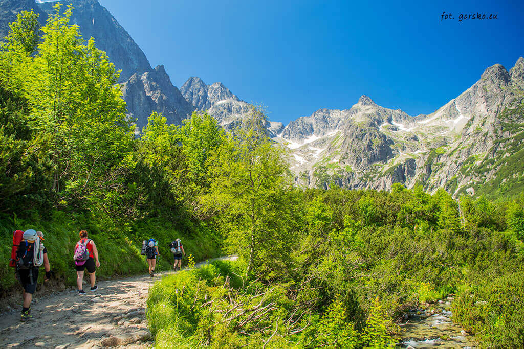 Zielony-Staw-Kieżmarski-trasa
