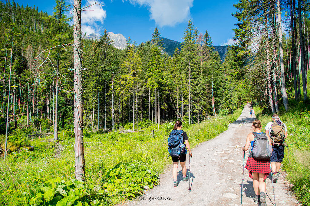 Zielony-Staw-Kieżmarski-początek-szlaku