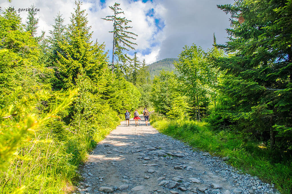 Zielony-Staw-Kieżmarski-zolty-szlak