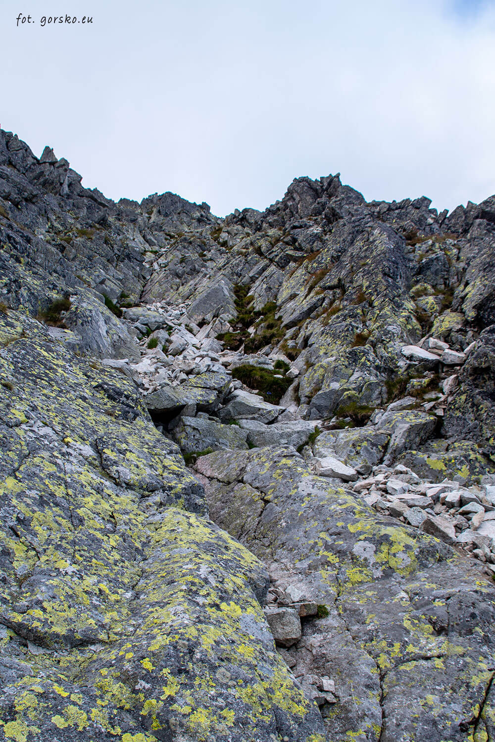 Kieżmarski Szczyt wejście żlebikiem do góry