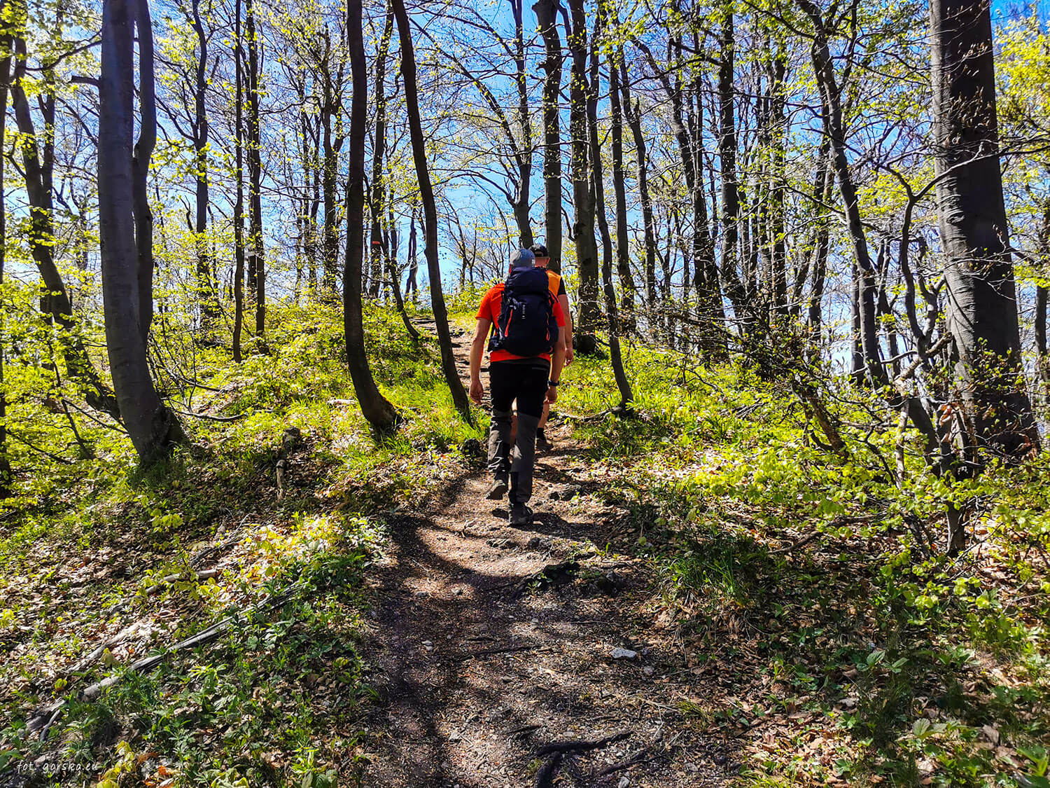 Sip-dojście-do-Zadny-Sip