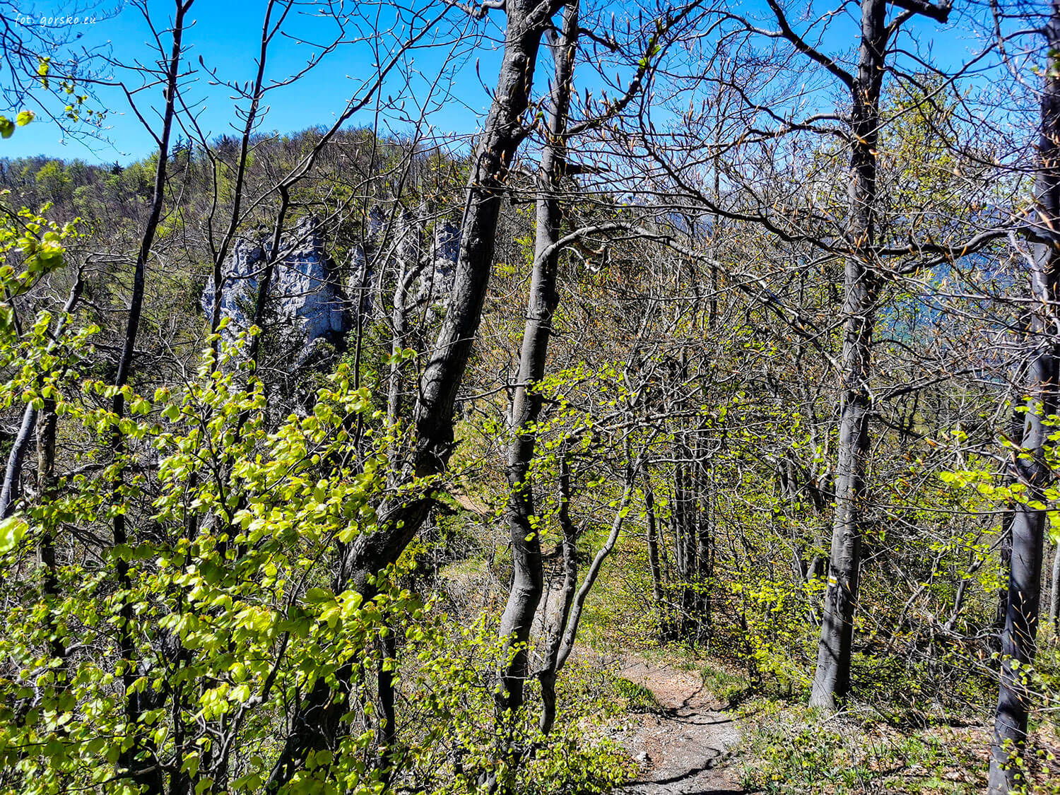 Szlak-pomiędzy-Sip-i-Zadny-Sip