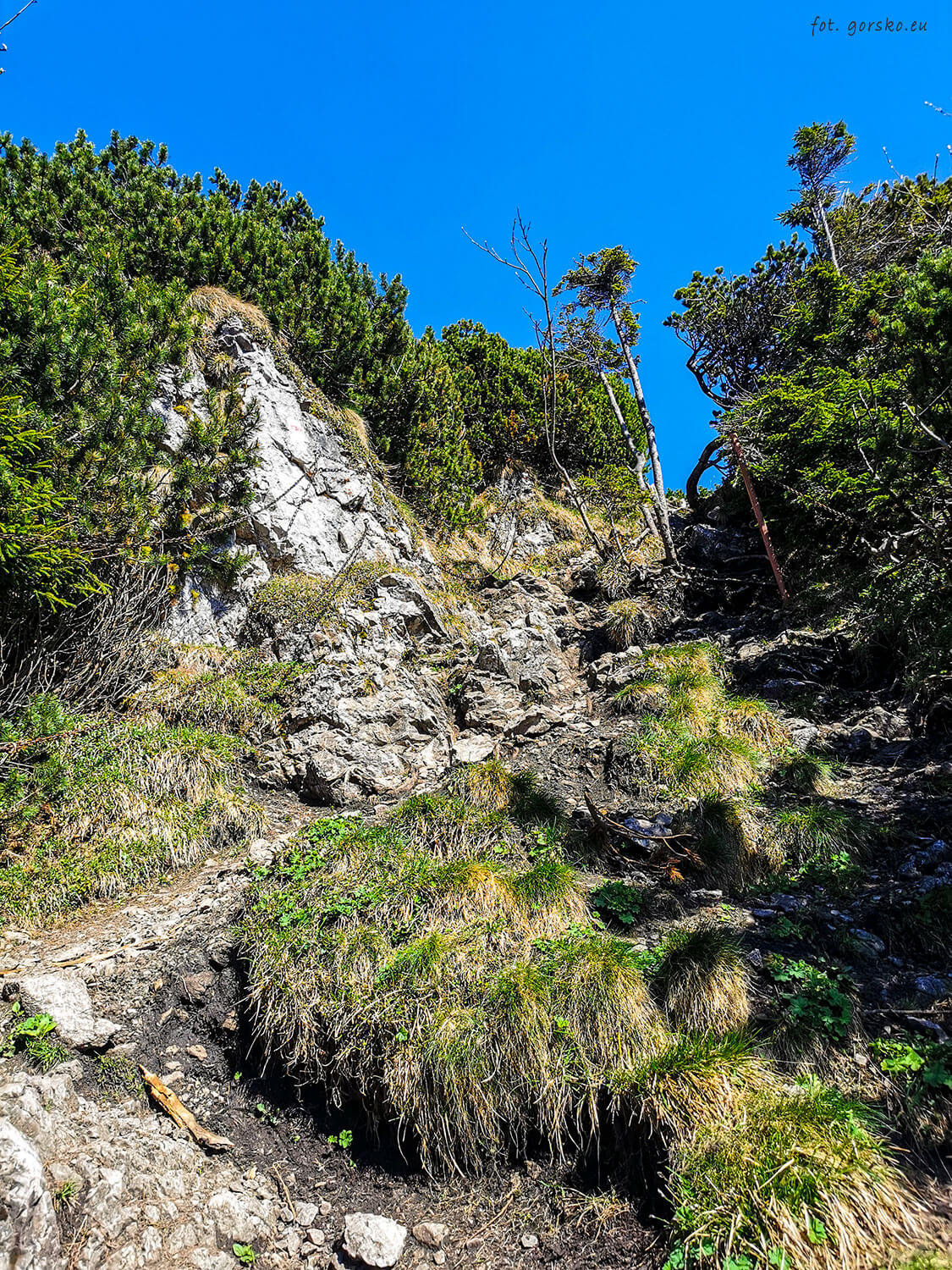 Wielki-CHocz-ubezpieczenia-na-szlaku-10