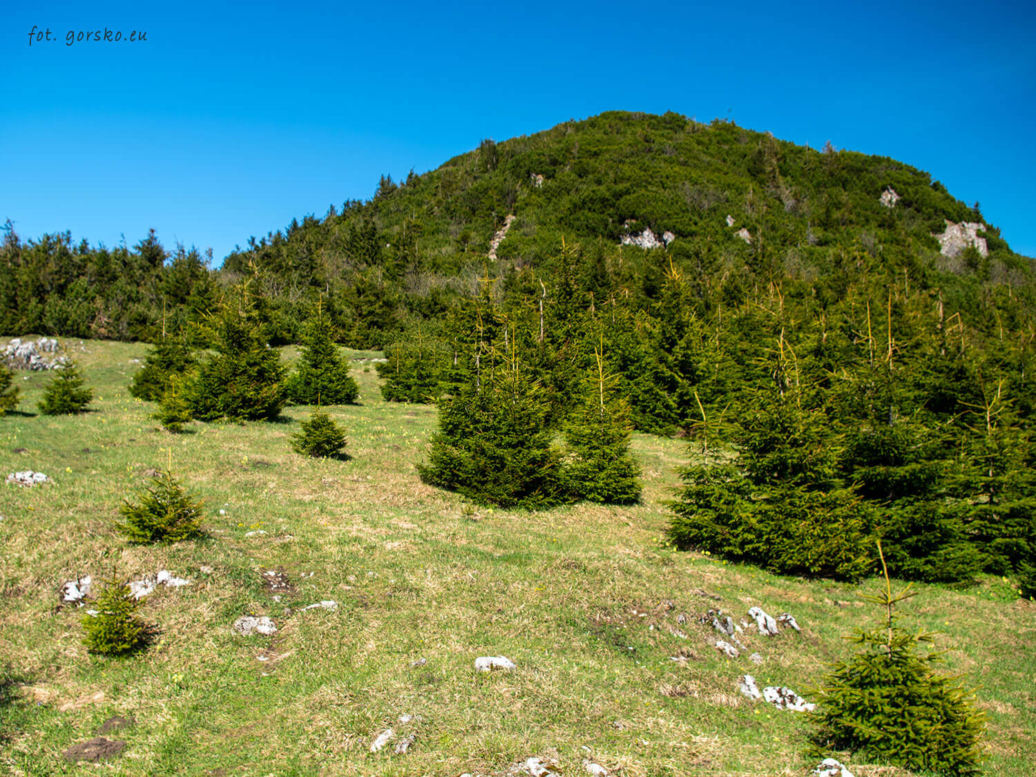 Wielki-Chocz-końcowe-podejście-9