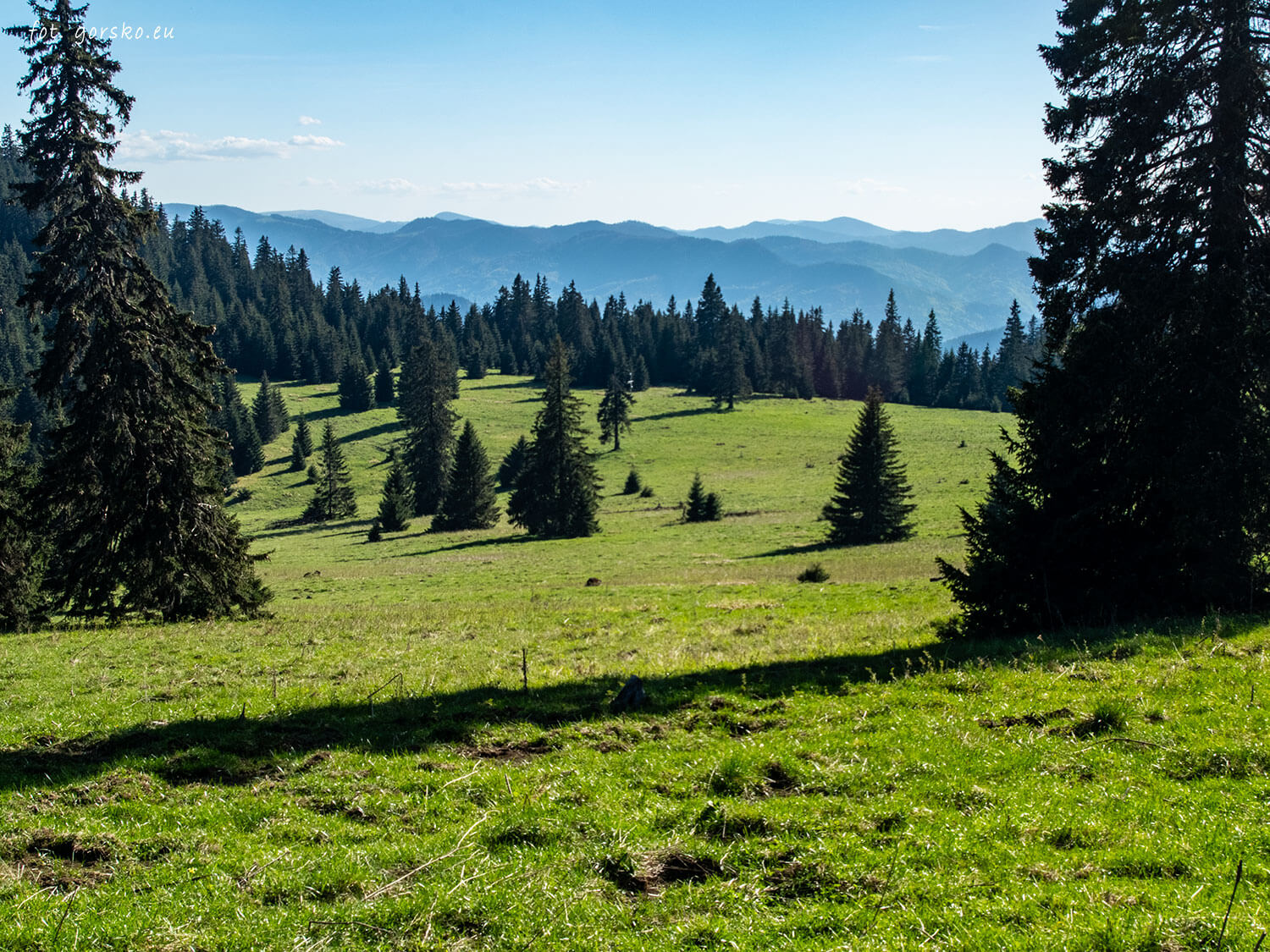 Wielki-Chocz-pośrednia-polana-18