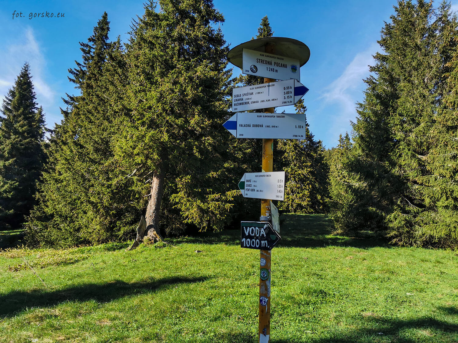 Wielki-Chocz-pośrednia-polana-20