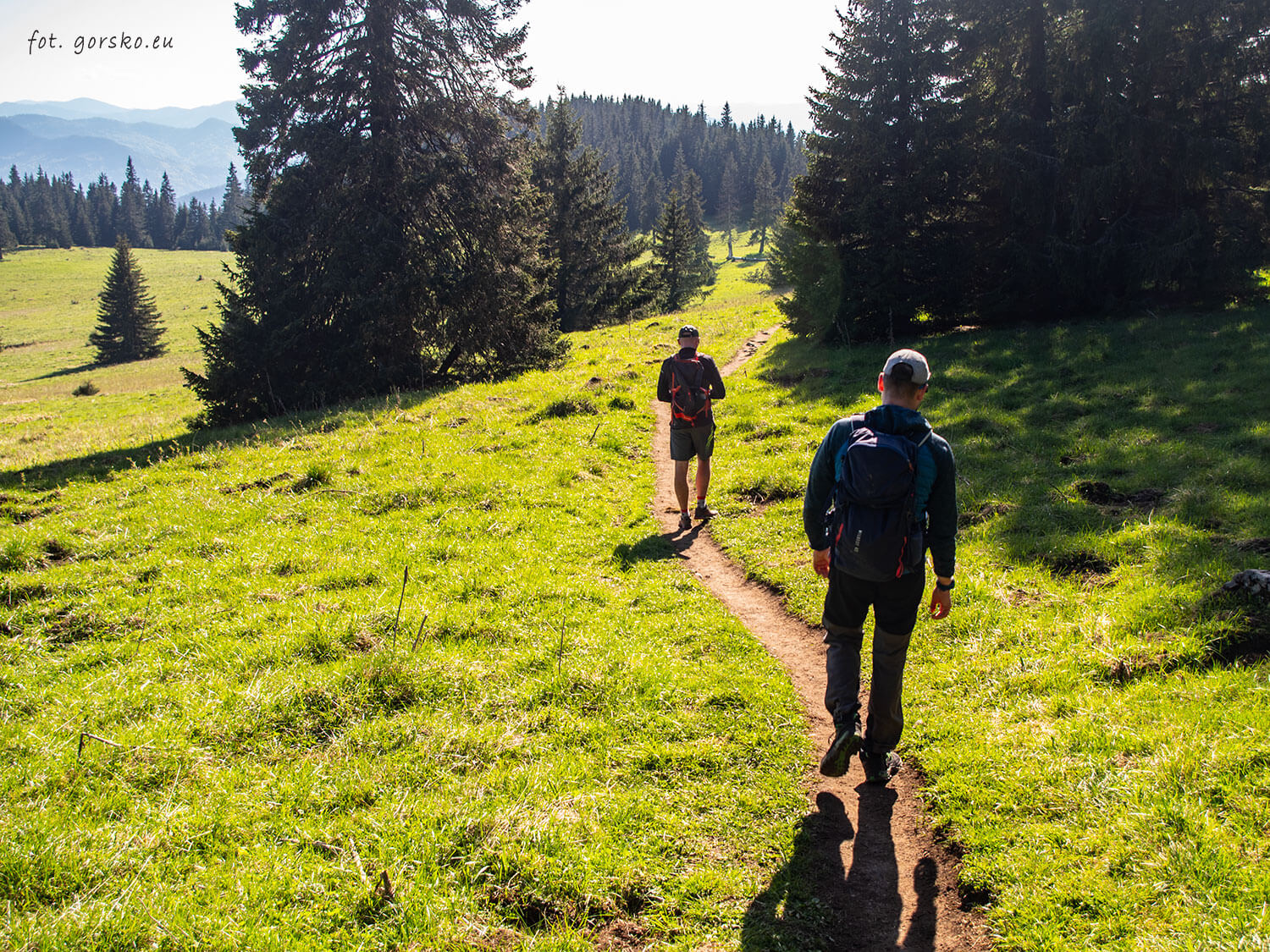 Wielki-Chocz-pośrednia-polana-początek-17
