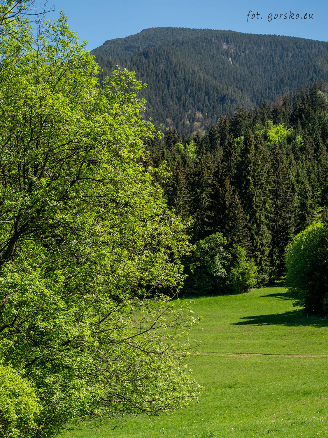 Wielki-Chocz-szlak-polana-4