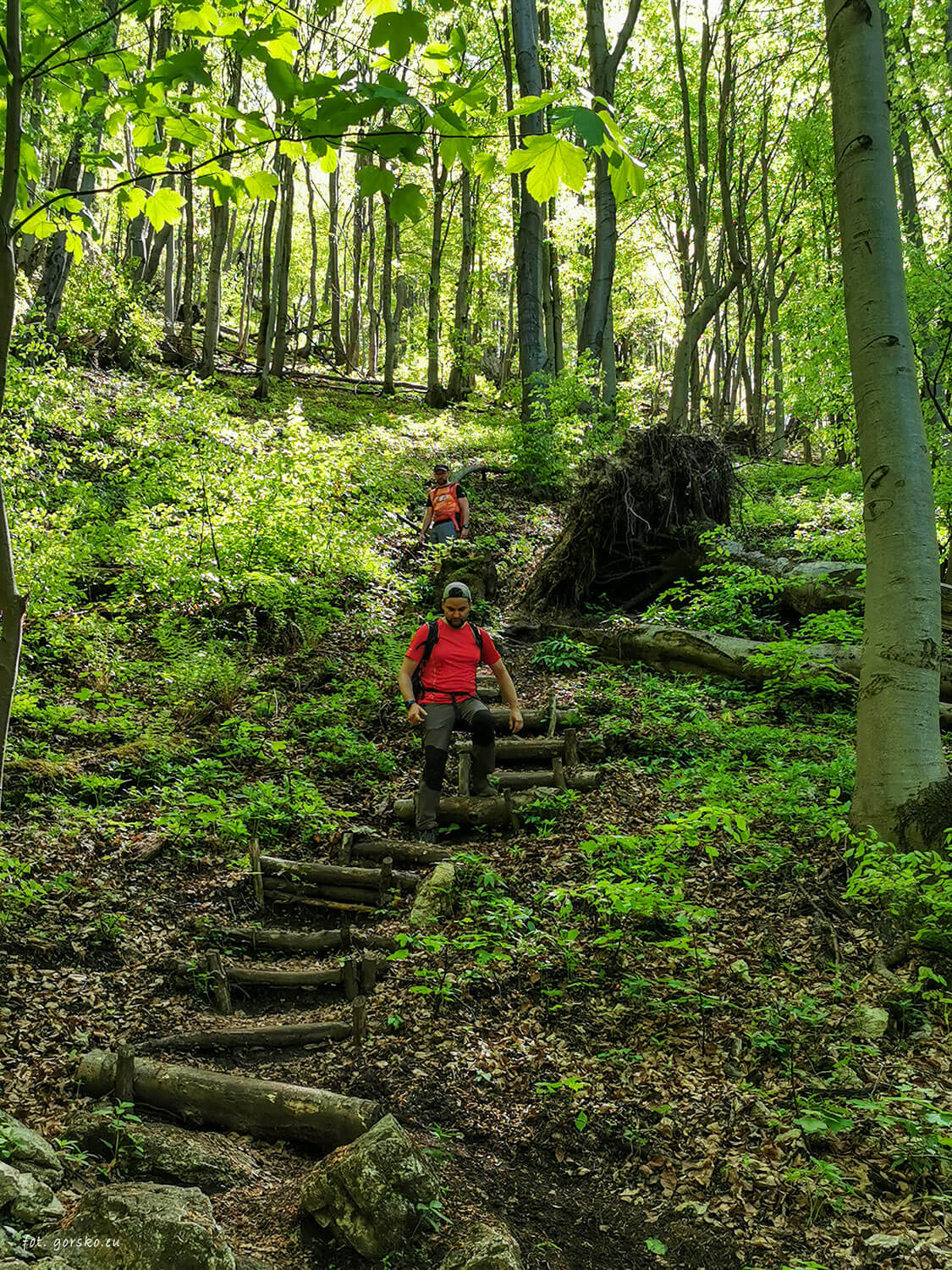 Zejście-z-Zadni-Sip
