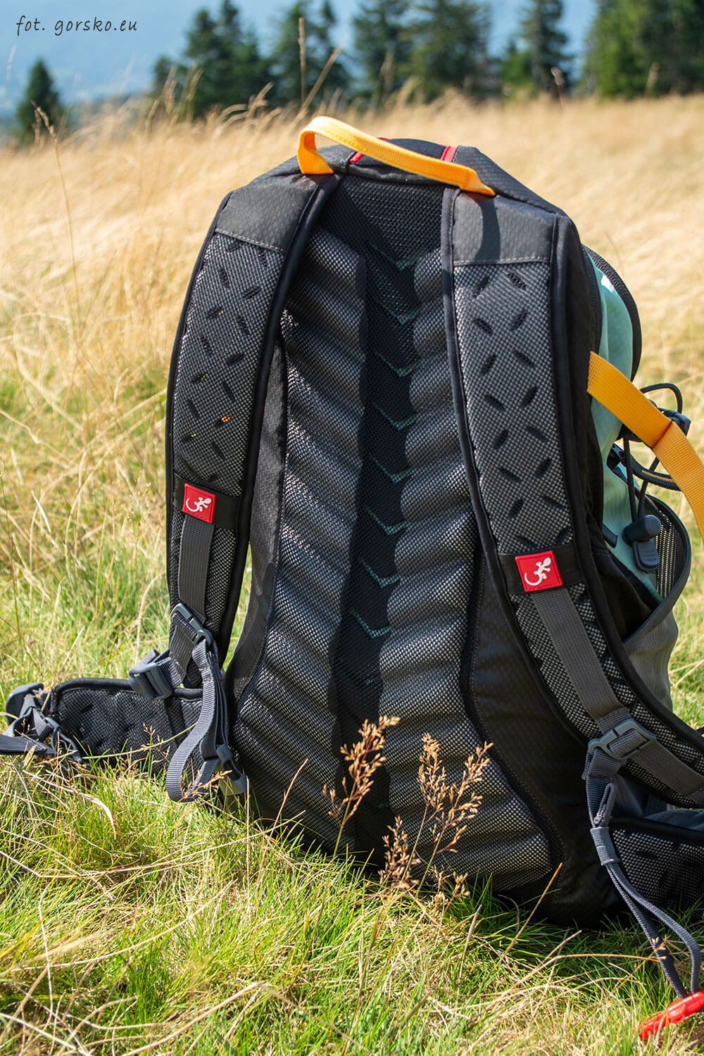 Plecak Freetime Peak - plecy