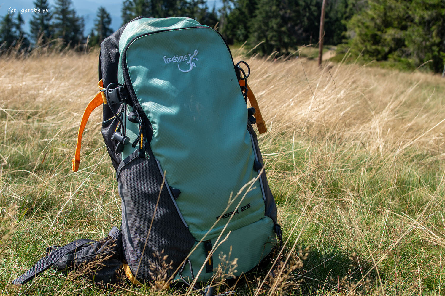 Plecak Freetime Peak - przód